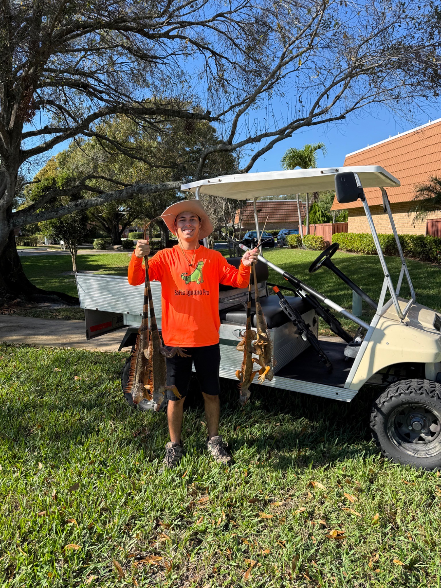 Request Iguana Removal Service