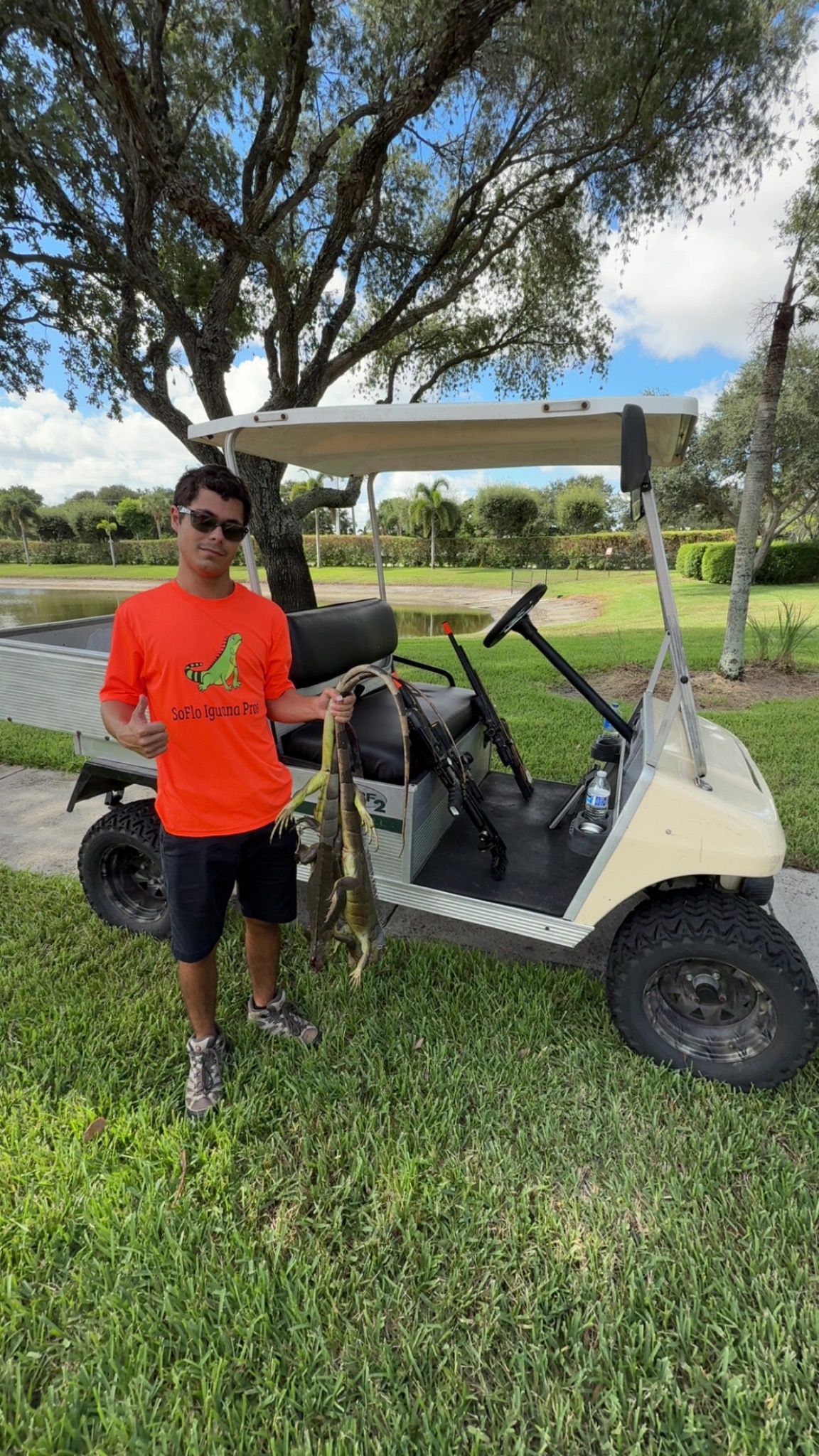Iguana removal service photo beside golf cart in a South Florida neighborhood
